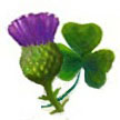 Shamrock and Thistle